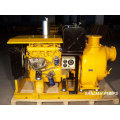 12" Power Centrifugal Sewage Water Pump for Sale